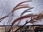 IMG_20201028_120020.jpg