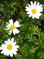 20201028_110909.webp