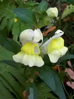 20201028_110622.webp