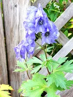 20201028_131836.webp