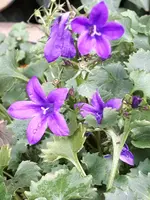 20201028_220231.webp