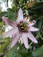 DSCN3075_Bildgröße ändern.webp