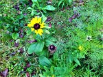 IMG_20201030_155153.jpg