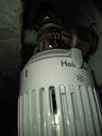 20201031_095737.jpg