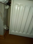 20201031_095745.jpg