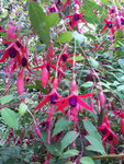 20200806_204743.jpg