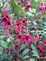 20200806_204743.webp