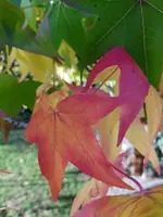 20201031_152211.webp