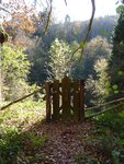 3D9FD140-747F-4DB4-9B26-638923D18CB0.jpeg
