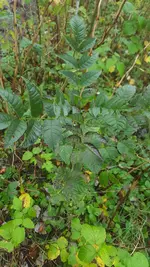 20201031_100846.webp