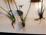 20201101_154659.jpg
