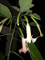 20201101_180558.webp