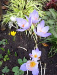 20201102_122105.jpg