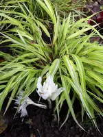 20201102_122050.webp