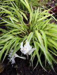 20201102_122050.jpg