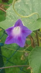 20201102_091507.jpg