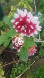 20201102_091114.webp
