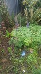 20201102_091149.jpg