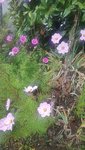 20201102_091033.jpg