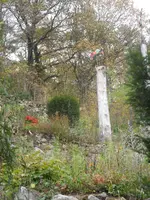 SAM_2041.webp