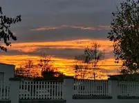 IMG_20201102_163412.webp