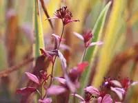 image001.webp