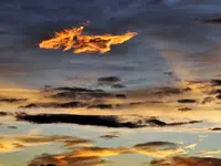 image007.webp