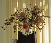 IMG_6484 v (2).webp