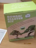 Bonsai1.webp