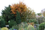 Nov.  0420.JPG