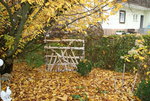 Nov.  1320.JPG