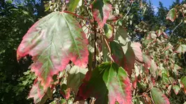 DSC_1148 (2).webp