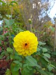 20201104_141009.jpg