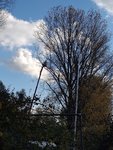 20201104_142156.jpg