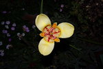 DSC02933_Bildgröße ändern.JPG