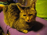 IMGP0345.JPG