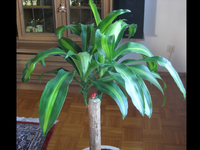 IMG_9483.webp