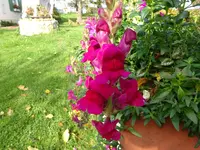 DSC01351.webp