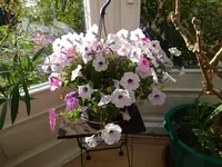 DSC01356.webp