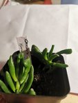 IMG_20201105_215804.jpg
