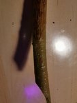 IMG_20201105_211343.jpg