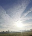 IMG_20201106_090748.jpg