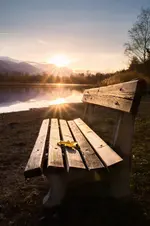 1604743224615.webp