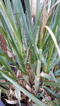 20201107_123740.jpg