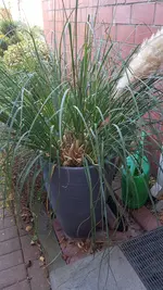 20201107_123755.jpg