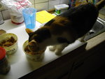 IMGP0359.JPG