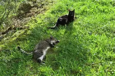 IMG_7377 v (2).webp