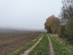 IMG_20201108_162242.jpg