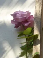 P1010973Azubi.webp
