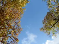P1020020.webp